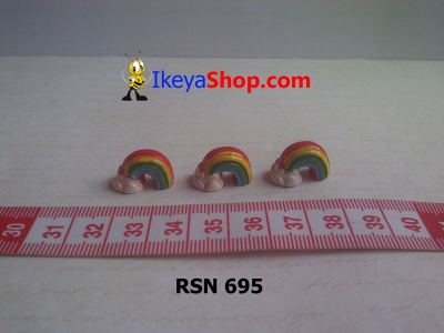 rsn 695  large2